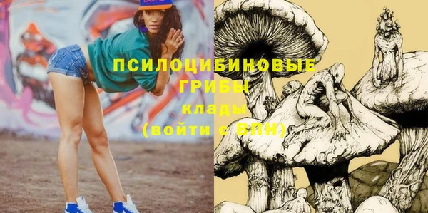 спиды Алексеевка