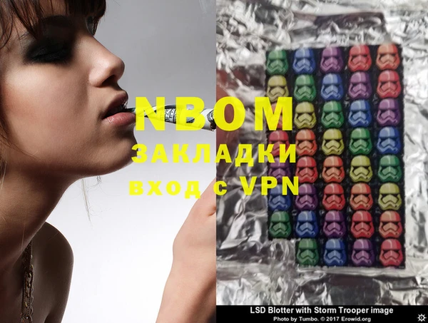 индика Гусев