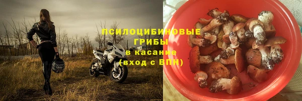 спайс Алзамай