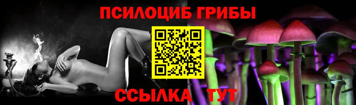 Североуральск  Псилоцибиновые грибы Cubensis  Вход с VPN 